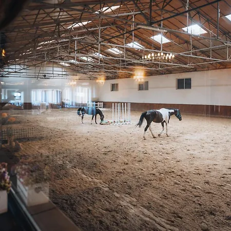 Otel Trzy Podkowy Biskupiec (Nowe Miasto)
