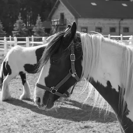 Trzy Podkowy Otel 3*