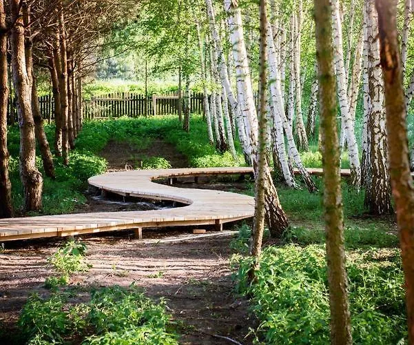 Trzy Podkowy Biskupiec (Nowe Miasto)