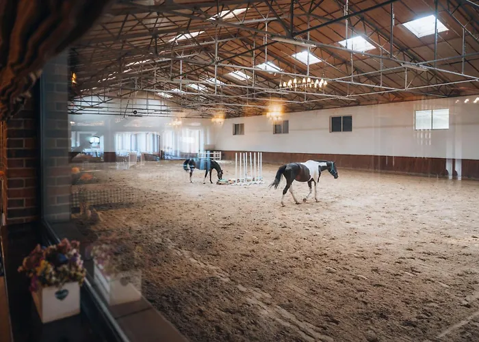 Hotel Trzy Podkowy Biskupiec (Nowe Miasto)