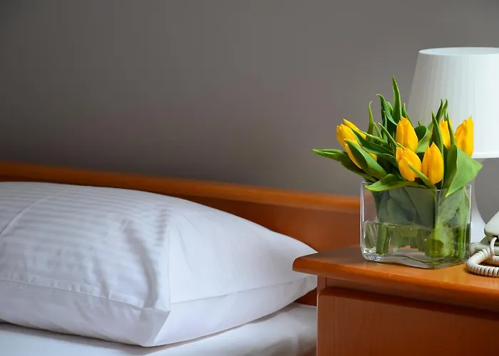 Hotel Trzy Podkowy 3*