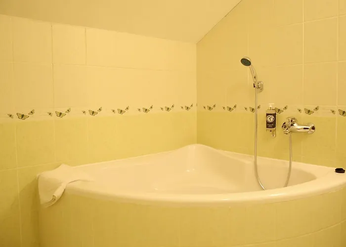 Trzy Podkowy 3* Biskupiec (Nowe Miasto)