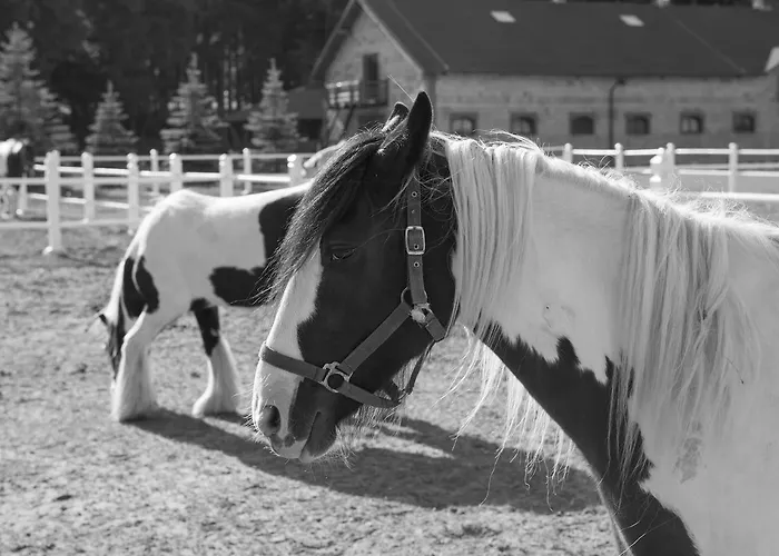 Trzy Podkowy Hotel 3*